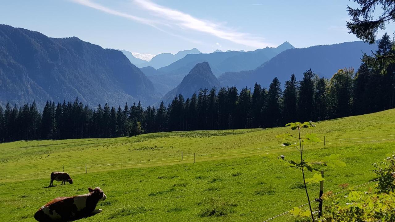 Alpina Inzell Wohnung 454 Esterno foto