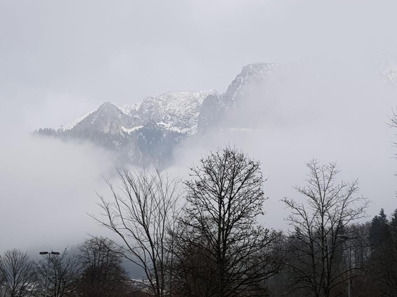Alpina Inzell Wohnung 454 Esterno foto